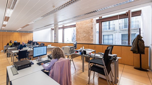 Agencia Local de Desarrollo Económico y Social de Alicante, Impulsalicante