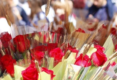 Este 2025 la venta de rosas superará los 7 millones de rosas en Sant Jordi según mayoristaderosas.com
