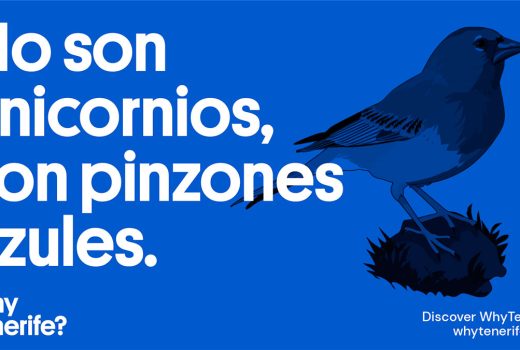 Startups que no son unicornios: son pinzones azules canarios y vuelan a solas con sus negocios internacionales