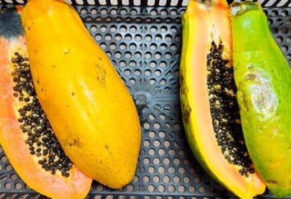 Bio2Coat, empresa innovadora del sector agroalimentario, ha desarrollado un recubrimiento 100% natural que conserva más tiempo el color, sabor y firmeza de diversas frutas.