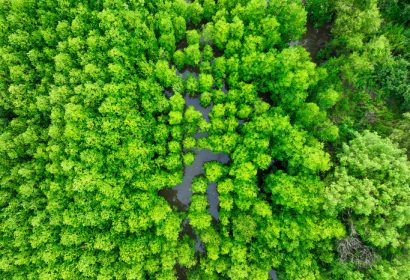 La bioeconomía circular: el espacio en el que la bioeconomía y la economía circular se abrazan