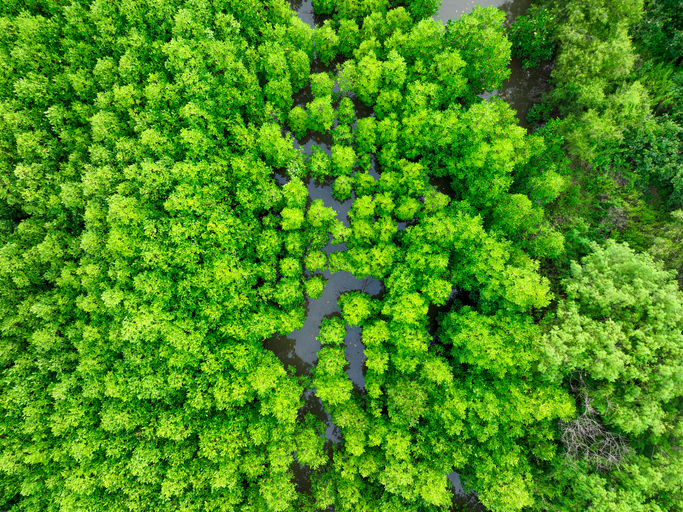 La bioeconomía circular: el espacio en el que la bioeconomía y la economía circular se abrazan
