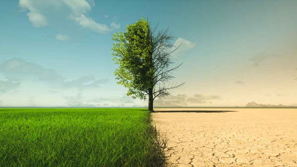 cambio climático