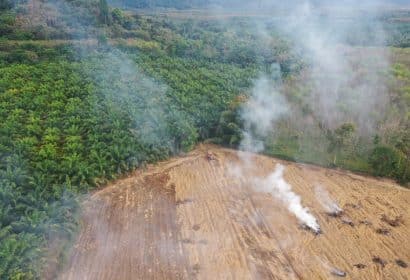 ¿Cómo afecta la directiva de deforestación a las empresas?