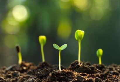 Consejos para innovar en el entorno rural
