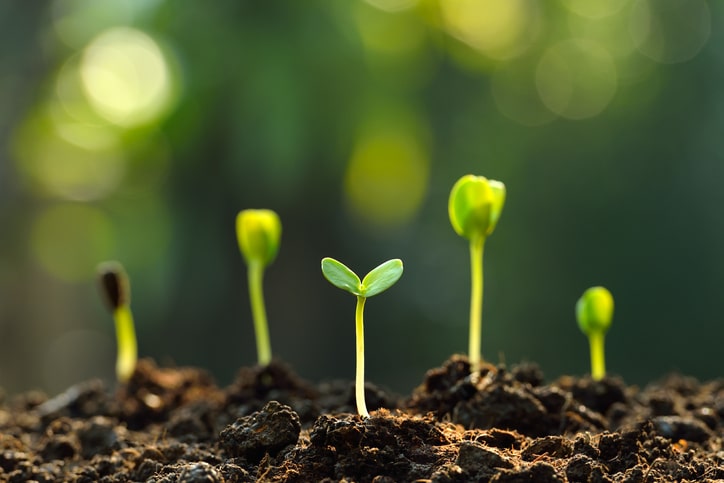 Consejos para innovar en el entorno rural
