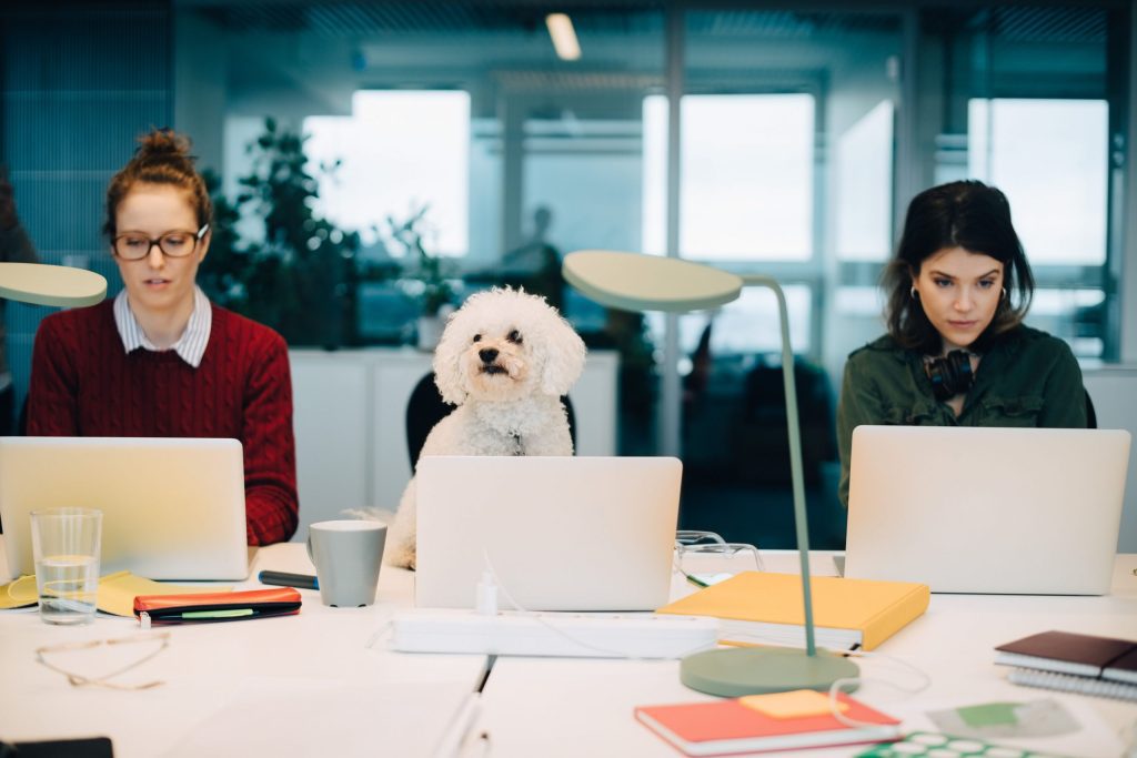 Plan de negocio para montar un centro de coworking de éxito