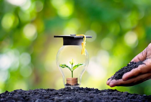 Medio Ambiente y formación, una pareja inseparable
