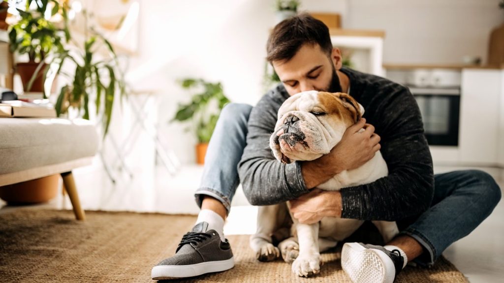 Productos para mascotas: un negocio multimillonario que no para de crecer