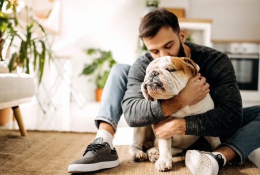 Productos para mascotas: un negocio multimillonario que no para de crecer