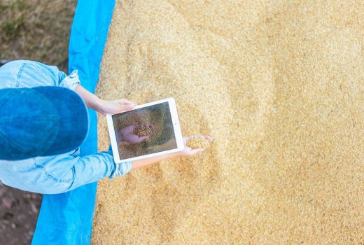Inscríbete en Ruralizable, la mejor ayuda al emprendimiento rural