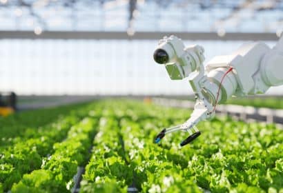 Impulsa tu negocio del sector agroalimentario con este programa de mentorDay