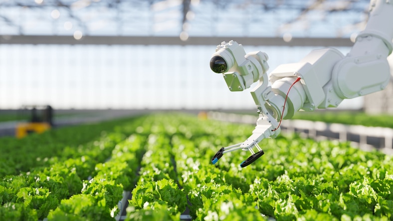 Impulsa tu negocio del sector agroalimentario con este programa de mentorDay