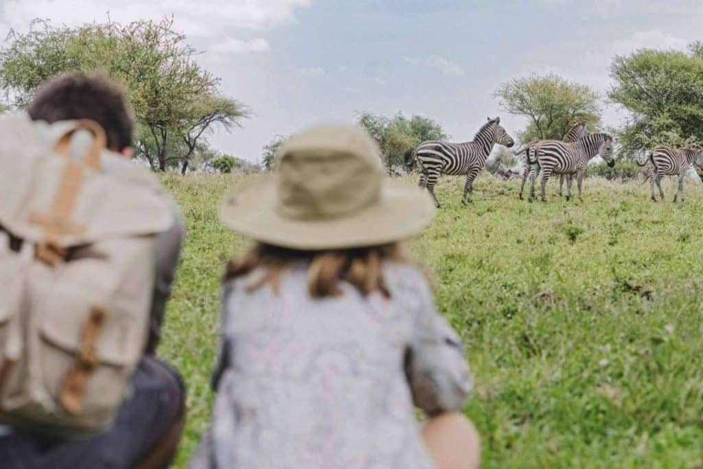 Safari para familias con niños o multigeneracionales con la agencia The African Experiences