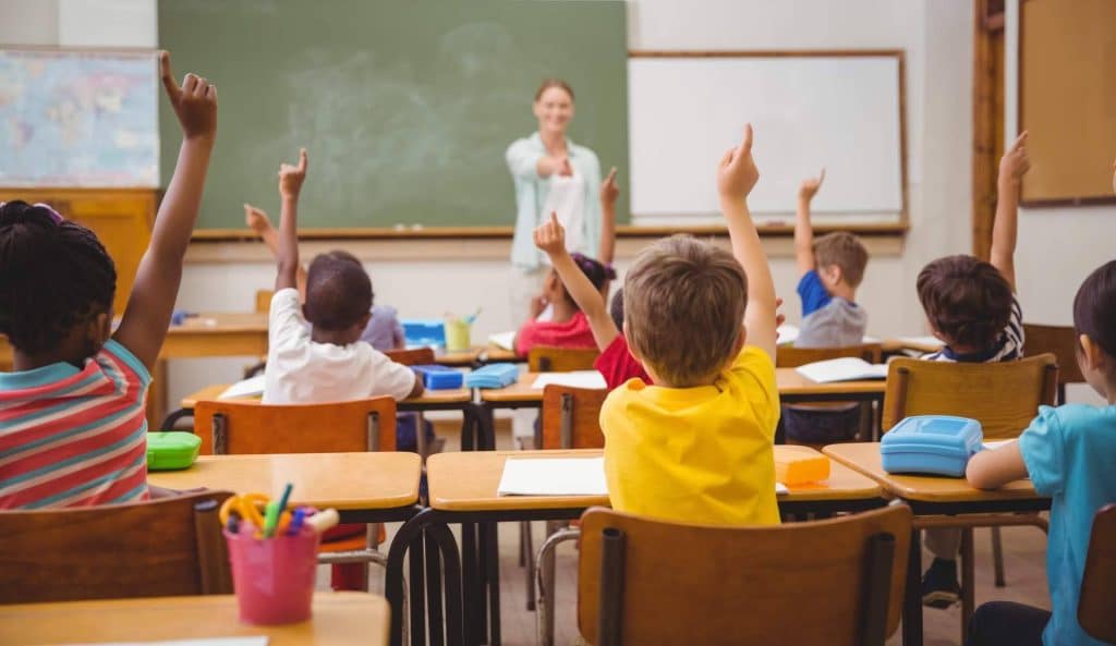 La importancia de la alimentación ecológica en los menús escolares