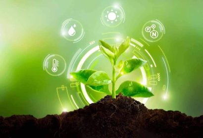 Descubrir cómo los microorganismos del suelo están revolucionando la productividad agrícola