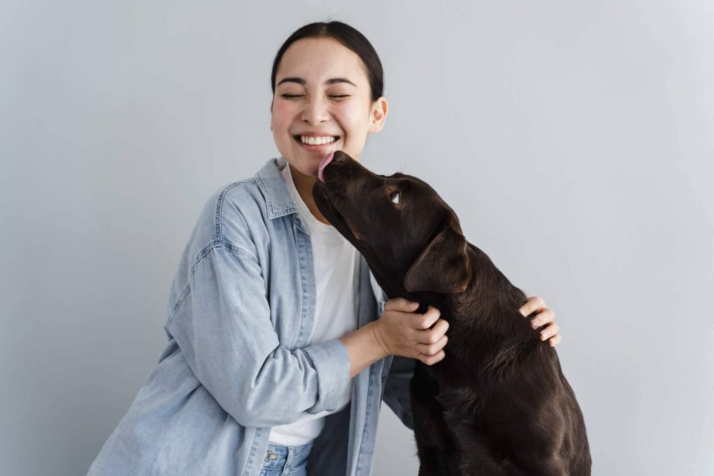 La importancia de elegir un buen hotel para mascotas en Madrid