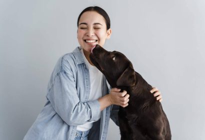 La importancia de elegir un buen hotel para mascotas en Madrid