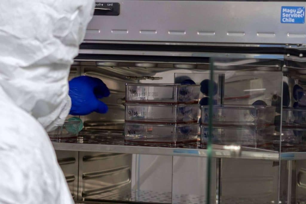Éxito contra el cáncer; Cómo el programa Oncovix ataca las principales amenazas de un tumor maligno