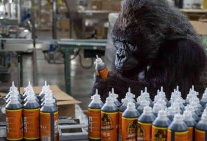 Gorilla Glue participará en la Feria Eurbrico de Valencia presentando su producto Insignia