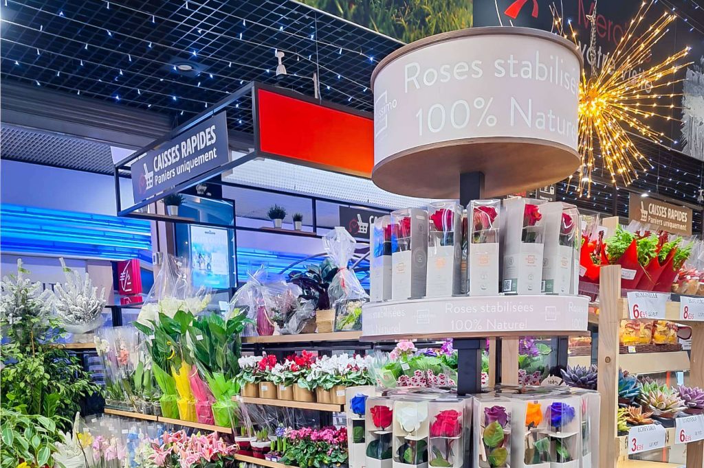 Verdissimo Lanza un Display Innovador para Transformar el Mercado de Rosas Preservadas