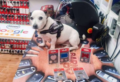 Placas personalizadas para mascotas en Barcelona con calidad garantizada por Barnacopy