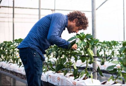 Entrevista a Francisco Martín, director técnico de Nostoc Biotech; El futuro de la agricultura con biofertilizantes