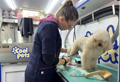 COOL PETS; La solución definitiva para el aseo e higiene de la mascota