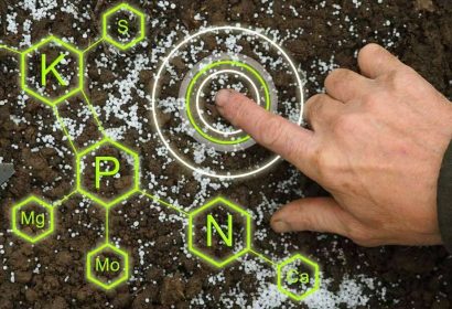 Cómo elegir un biofertilizante eficaz; claves para no perder dinero ni productividad en el campo