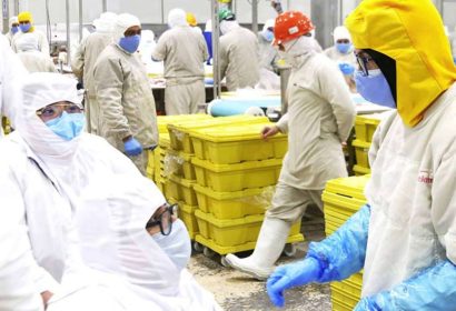 Kekén impulsa la inclusión laboral en Yucatán con un programa que ya cumple cuatro años