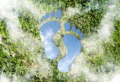Reducción del impacto ambiental y de la huella de carbono