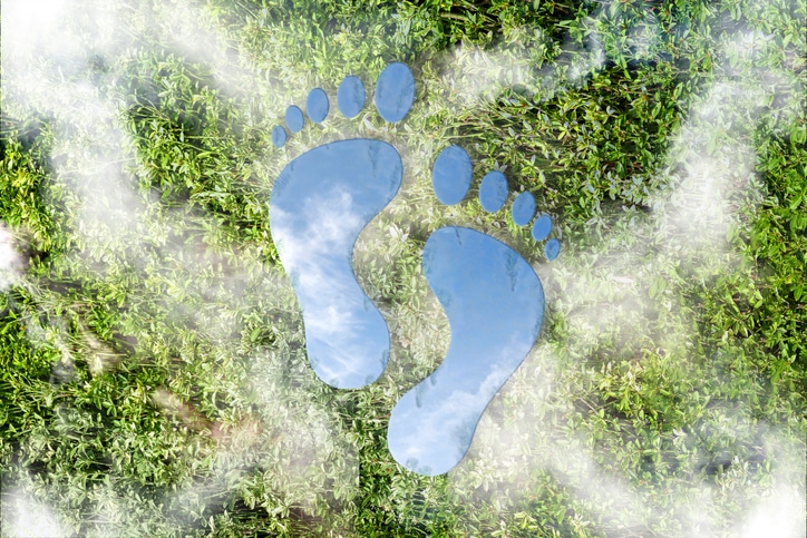 Reducción del impacto ambiental y de la huella de carbono