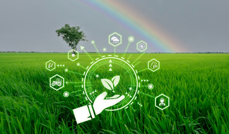 Descubre las 50 startups finalistas de la Startup Competition de South Summit Brazil 2024