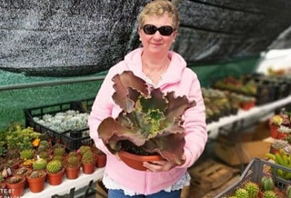 El jardín de Paloma, tienda online de cactus y suculentas.