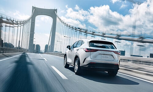 Nuevo Lexus NX2024