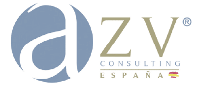 AZV Consulting