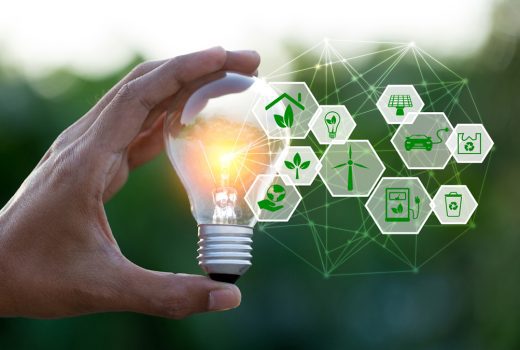 Más de 30 oportunidades para emprender en negocios sostenibles