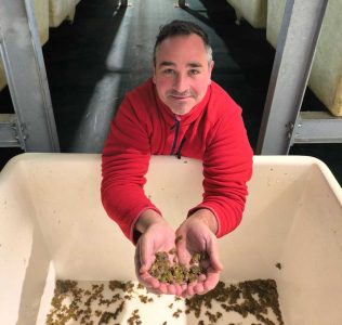 De criar y vender ranas a montar una tecnológica de lo más puntera