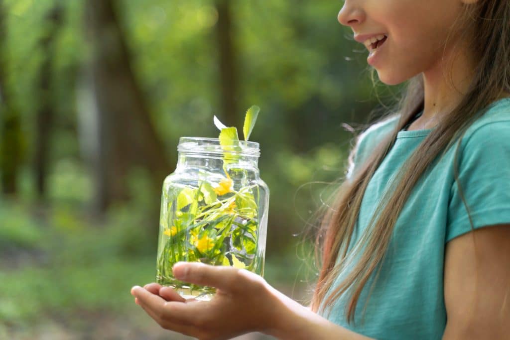 ¿Qué es la sostenibilidad ambiental y cómo aplicarlo en las empresas?