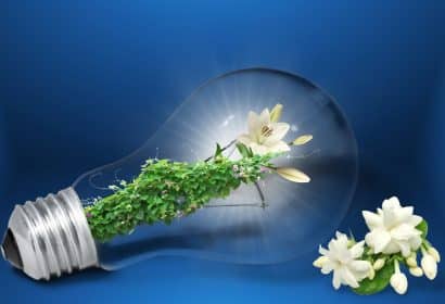 ¿Qué son las marcas sostenibles? Beneficios y cómo crearlas